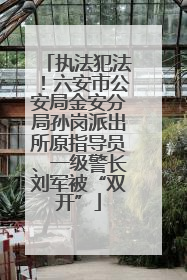 执法犯法！六安市公安局金安分局孙岗派出所原指导员、一级警长刘军被“双开”
