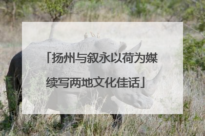 扬州与叙永以荷为媒续写两地文化佳话
