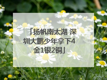 扬帆南太湖 深圳大鹏少年拿下4金1银2铜