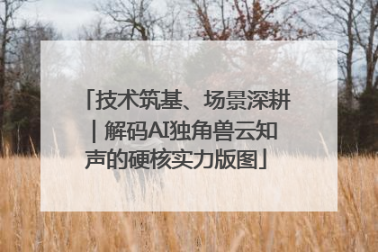 技术筑基、场景深耕｜解码AI独角兽云知声的硬核实力版图