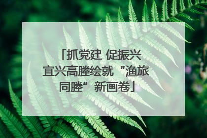 抓党建 促振兴 宜兴高塍绘就“渔旅同塍”新画卷