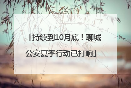 持续到10月底！聊城公安夏季行动已打响