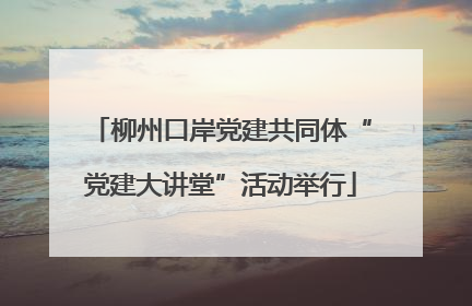 柳州口岸党建共同体“党建大讲堂”活动举行
