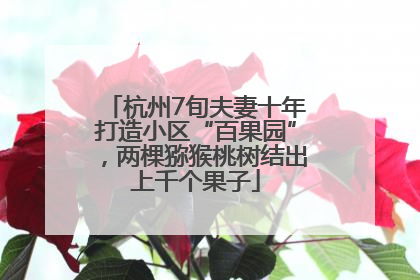 杭州7旬夫妻十年打造小区“百果园”，两棵猕猴桃树结出上千个果子