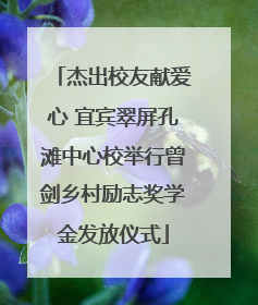 杰出校友献爱心 宜宾翠屏孔滩中心校举行曾剑乡村励志奖学金发放仪式