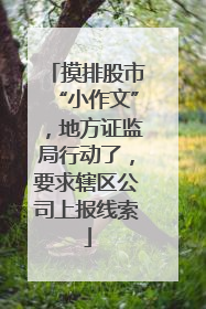 摸排股市“小作文”，地方证监局行动了，要求辖区公司上报线索