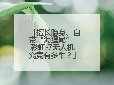 擅长隐身、自带“海狸尾” 彩虹-7无人机究竟有多牛？