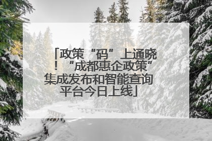 政策“码”上通晓！“成都惠企政策”集成发布和智能查询平台今日上线
