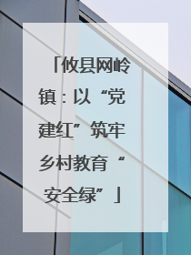 攸县网岭镇：以“党建红”筑牢乡村教育“安全绿”