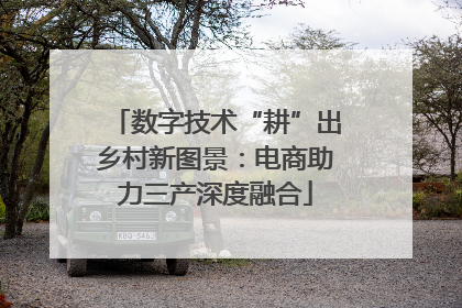 数字技术“耕”出乡村新图景：电商助力三产深度融合