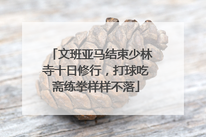 文班亚马结束少林寺十日修行，打球吃斋练拳样样不落