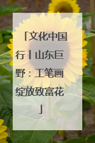 文化中国行丨山东巨野：工笔画绽放致富花