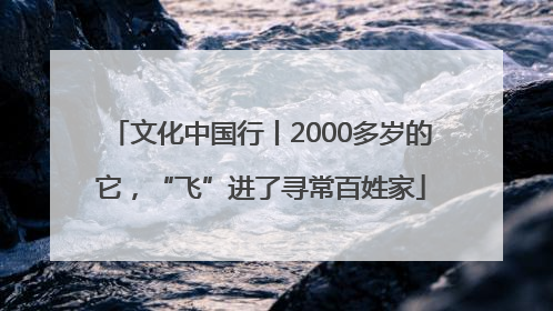文化中国行丨2000多岁的它，“飞”进了寻常百姓家