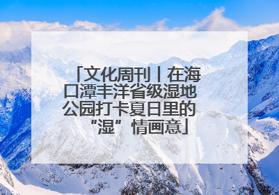 文化周刊丨在海口潭丰洋省级湿地公园打卡夏日里的“湿”情画意