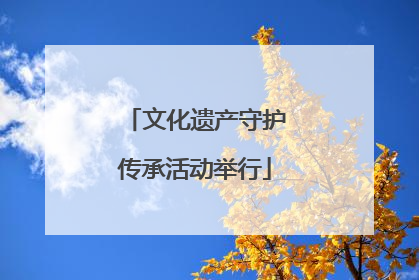 文化遗产守护传承活动举行