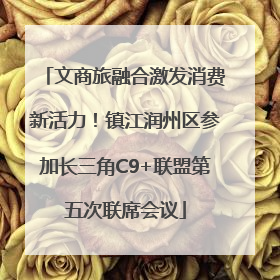 文商旅融合激发消费新活力！镇江润州区参加长三角C9+联盟第五次联席会议