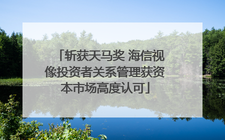 斩获天马奖 海信视像投资者关系管理获资本市场高度认可