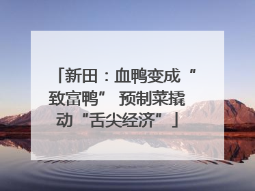 新田：血鸭变成“致富鸭” 预制菜撬动“舌尖经济”
