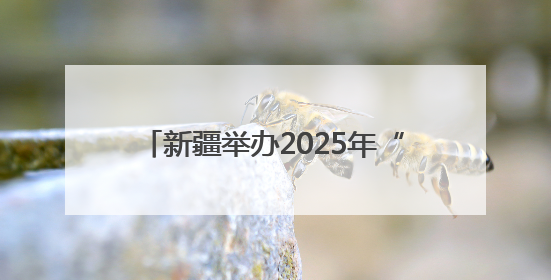 新疆举办2025年“安全宣传咨询日”活动