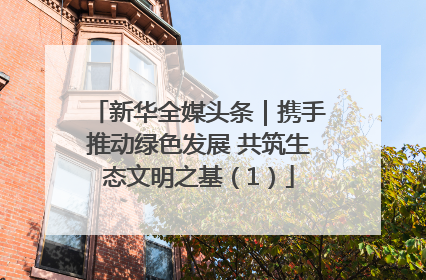 新华全媒头条｜携手推动绿色发展 共筑生态文明之基（1）