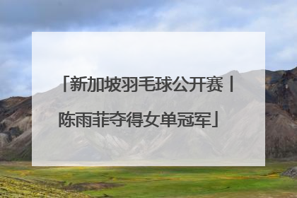 新加坡羽毛球公开赛丨陈雨菲夺得女单冠军