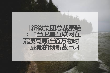 新微集团总裁秦曦：“当卫星互联网在荒漠高原连通万物时，成都的创新故事才真正开始”
