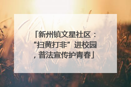 新州镇文星社区：“扫黄打非”进校园，普法宣传护青春