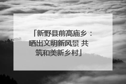 新野县前高庙乡：晒出文明新风景 共筑和美新乡村