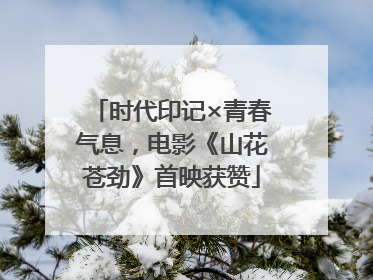 时代印记×青春气息，电影《山花苍劲》首映获赞