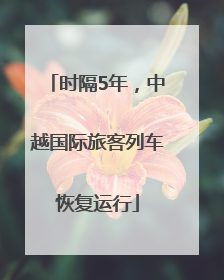 时隔5年，中越国际旅客列车恢复运行