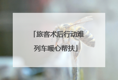 旅客术后行动难 列车暖心帮扶