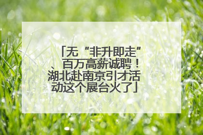 无“非升即走”、百万高薪诚聘！湖北赴南京引才活动这个展台火了