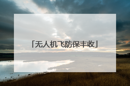 无人机飞防保丰收