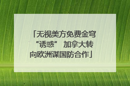 无视美方免费金穹“诱惑” 加拿大转向欧洲谋国防合作