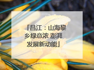 昌江：山海黎乡绿意浓 澎湃发展新动能