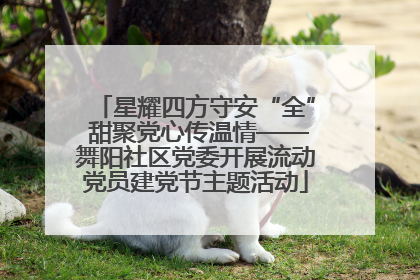 星耀四方守安“全” 甜聚党心传温情——舞阳社区党委开展流动党员建党节主题活动