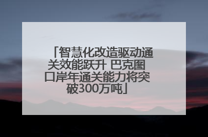 智慧化改造驱动通关效能跃升 巴克图口岸年通关能力将突破300万吨