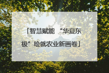 智慧赋能 “华夏东极”绘就农业新画卷