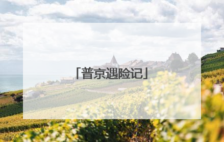 普京遇险记