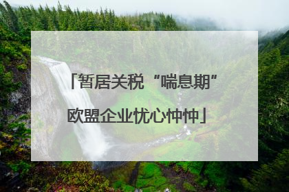 暂居关税“喘息期” 欧盟企业忧心忡忡