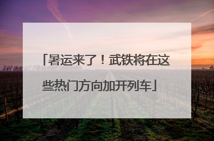 暑运来了！武铁将在这些热门方向加开列车