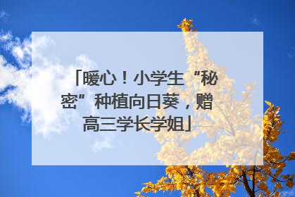 暖心！小学生“秘密”种植向日葵，赠高三学长学姐