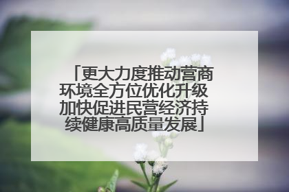 更大力度推动营商环境全方位优化升级加快促进民营经济持续健康高质量发展