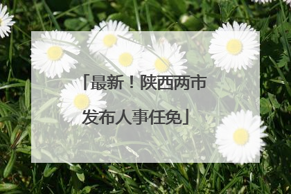 最新！陕西两市发布人事任免
