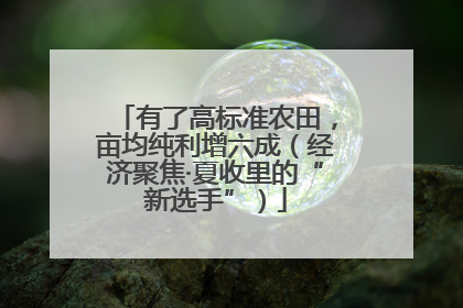有了高标准农田，亩均纯利增六成（经济聚焦·夏收里的“新选手”）