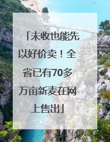 未收也能先以好价卖！全省已有70多万亩新麦在网上售出