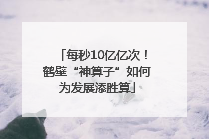 每秒10亿亿次！鹤壁“神算子”如何为发展添胜算