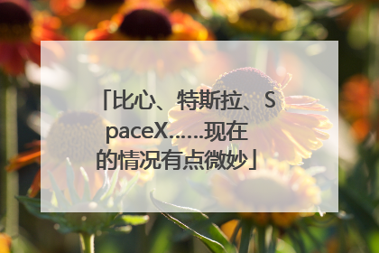 比心、特斯拉、SpaceX……现在的情况有点微妙