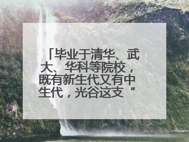 毕业于清华、武大、华科等院校，既有新生代又有中生代，光谷这支“理工男团”为何“出道”？