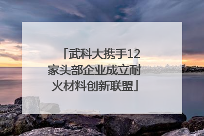 武科大携手12家头部企业成立耐火材料创新联盟